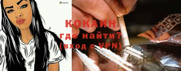 крисы Белокуриха