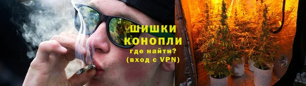 индика Няндома