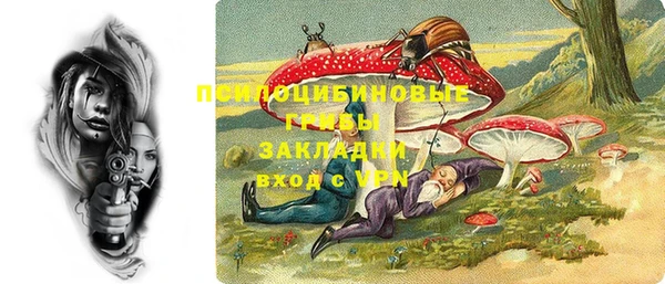 крисы Белокуриха