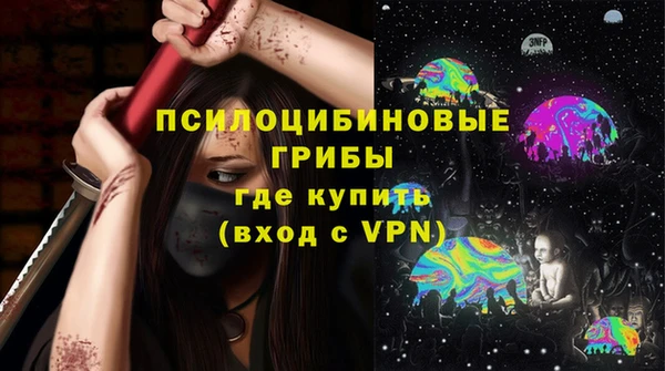 крисы Белокуриха