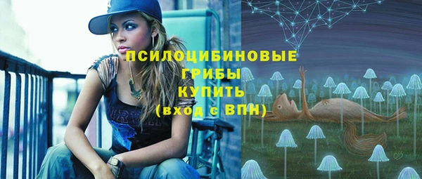 крисы Белокуриха
