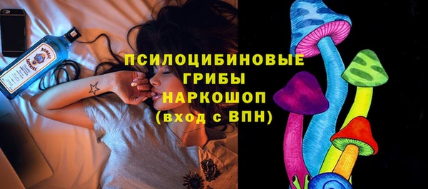 крисы Белокуриха